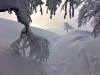 Paysages du Refuge du Sotré et du Massif des Vosges en toutes saisons !