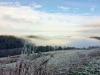 Paysages du Refuge du Sotré et du Massif des Vosges en toutes saisons !