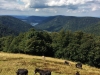 Paysages du Refuge du Sotré et du Massif des Vosges le 4 septembre 2018 !