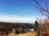 Un spectacle naturel de saison au Refuge du Sotré !