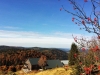 Un spectacle naturel de saison au Refuge du Sotré !