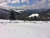 Paysages du Refuge du Sotré et du Massif des Vosges en toutes saisons !