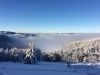 Paysages du Refuge du Sotré et du Massif des Vosges en toutes saisons !