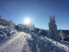 Paysages du Refuge du Sotré et du Massif des Vosges en toutes saisons !