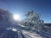 Paysages du Refuge du Sotré et du Massif des Vosges en toutes saisons !