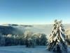 Paysages du Refuge du Sotré et du Massif des Vosges en toutes saisons !