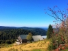 L'automne 2018 dans le massif des Vosges au Refuge du Sotré !