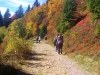 La randonnée dans les Vosges en automne !