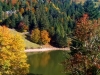 La randonnée dans les Vosges en automne !