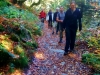 La randonnée dans les Vosges en automne !