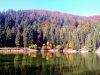 La randonnée dans les Vosges en automne !
