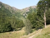 Vue sur le col de Falimont depuis le verrou glaciaire du Frankenthal.