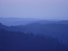 Fin du jour sur les forêts de la Haute-Meurthe depuis le Gazon Martin.