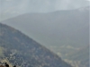 Les chamois font des réserves avant l'hiver...