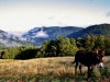 Les paysages du refuge !