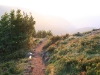 Sentier des névés au Kastelberg Hohneck Massif des Vosges.