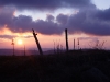 Coucher de soleil au Haut de Falimont et pied de gentiane.