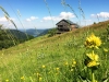 Vacances dans les Vosges au Refuge du Sotré !