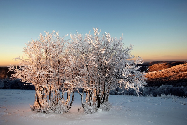 Que vive l'hiver 2016-2017 !