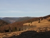 Paysages du 22 décembre 2016 !