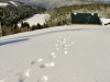 Les hautes Vosges en hiver !