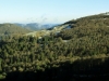 Les hautes Vosges en hiver !