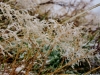 Paysages du 14 octobre 2015 au Refuge du Sotré !