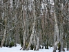 Les paysages du 6 février 2016 !