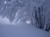 Neige fraiche au Pâquis des Hautes-Fées au Hohneck.