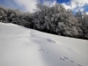 Paysages en ce 12 novembre 2016 !
