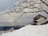 Paysages en ce 12 novembre 2016 !