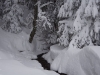 Neige fraiche et ruisseau gelé sur la chaume du Bas Chitelet à La Bresse.