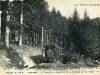 Tramway Gérardmer Hohneck entre le collet et la Schlucht.