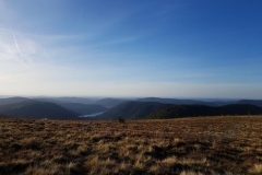 Randonnée pédestre pour découvrir le massif des Vosges !