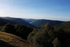 Randonnée pédestre pour découvrir le massif des Vosges !