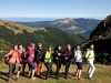 Randonnée pédestre pour découvrir le massif des Vosges !