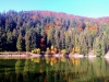 Randonnée pédestre pour découvrir le massif des Vosges !