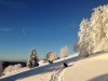 Balade et randonnée en fauteuil ski avec les accompagnateurs en montagne du Refuge du Sotré !