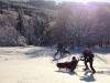 Balade et randonnée en fauteuil ski avec les accompagnateurs en montagne du Refuge du Sotré !