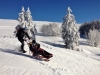 Balade et randonnée en fauteuil ski avec les accompagnateurs en montagne du Refuge du Sotré !