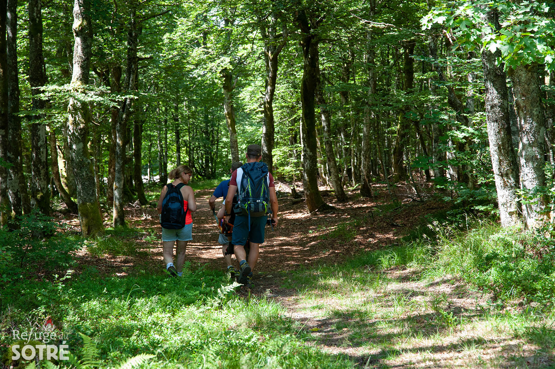 Randonnée joëlette dans le Massif des Vosges pour que les personnes à mobilité réduite puissent