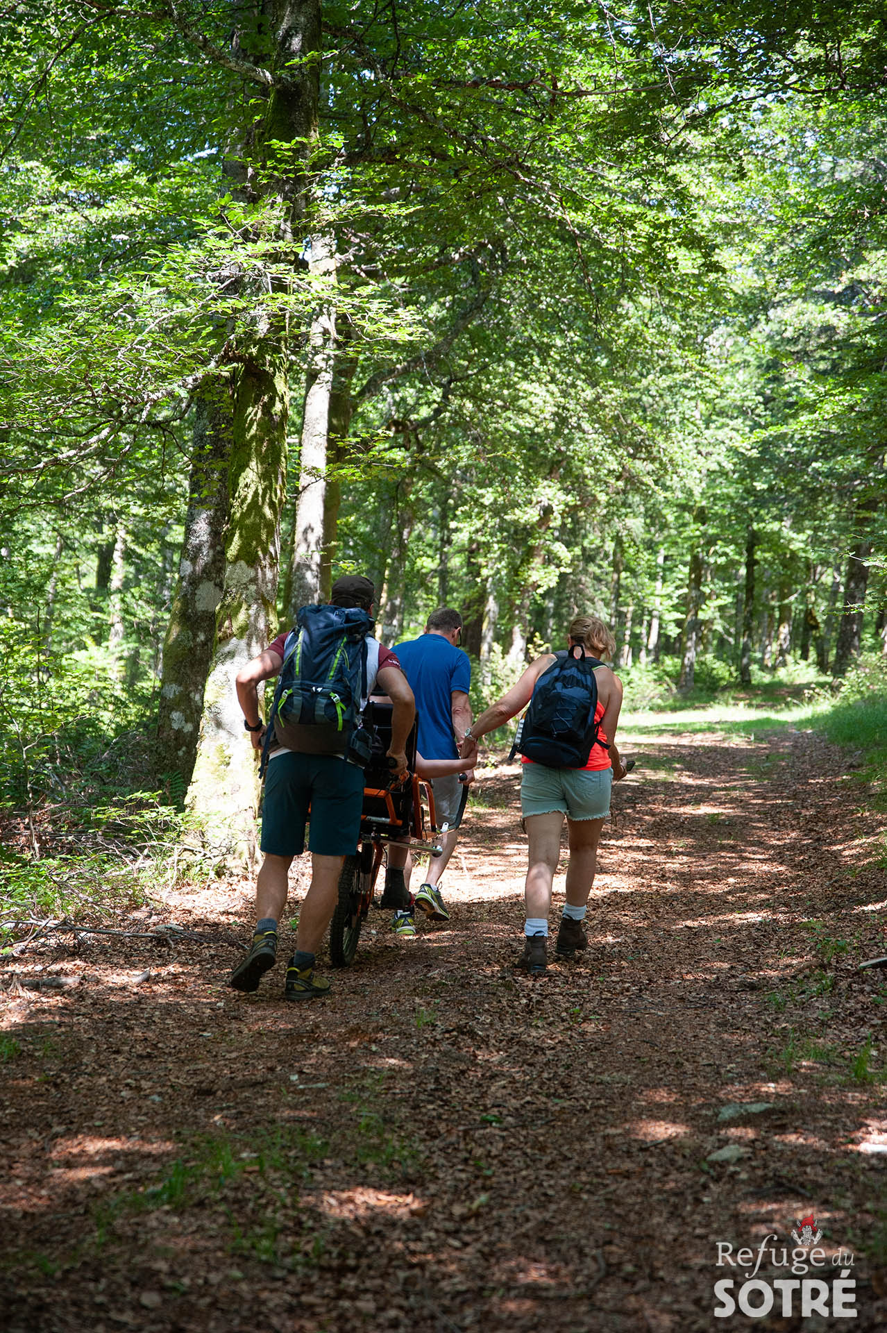 Randonnée joëlette dans le Massif des Vosges pour que les personnes à mobilité réduite puissent