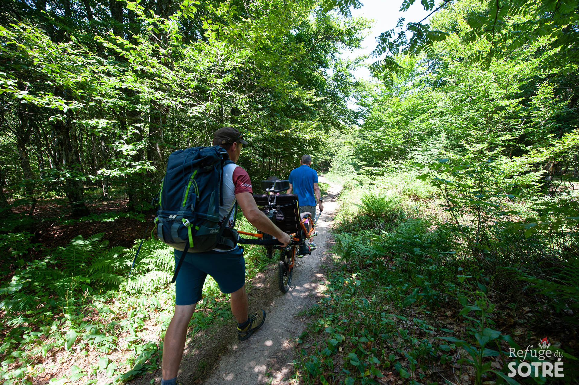 Randonnée joëlette dans le Massif des Vosges pour que les personnes à mobilité réduite puissent