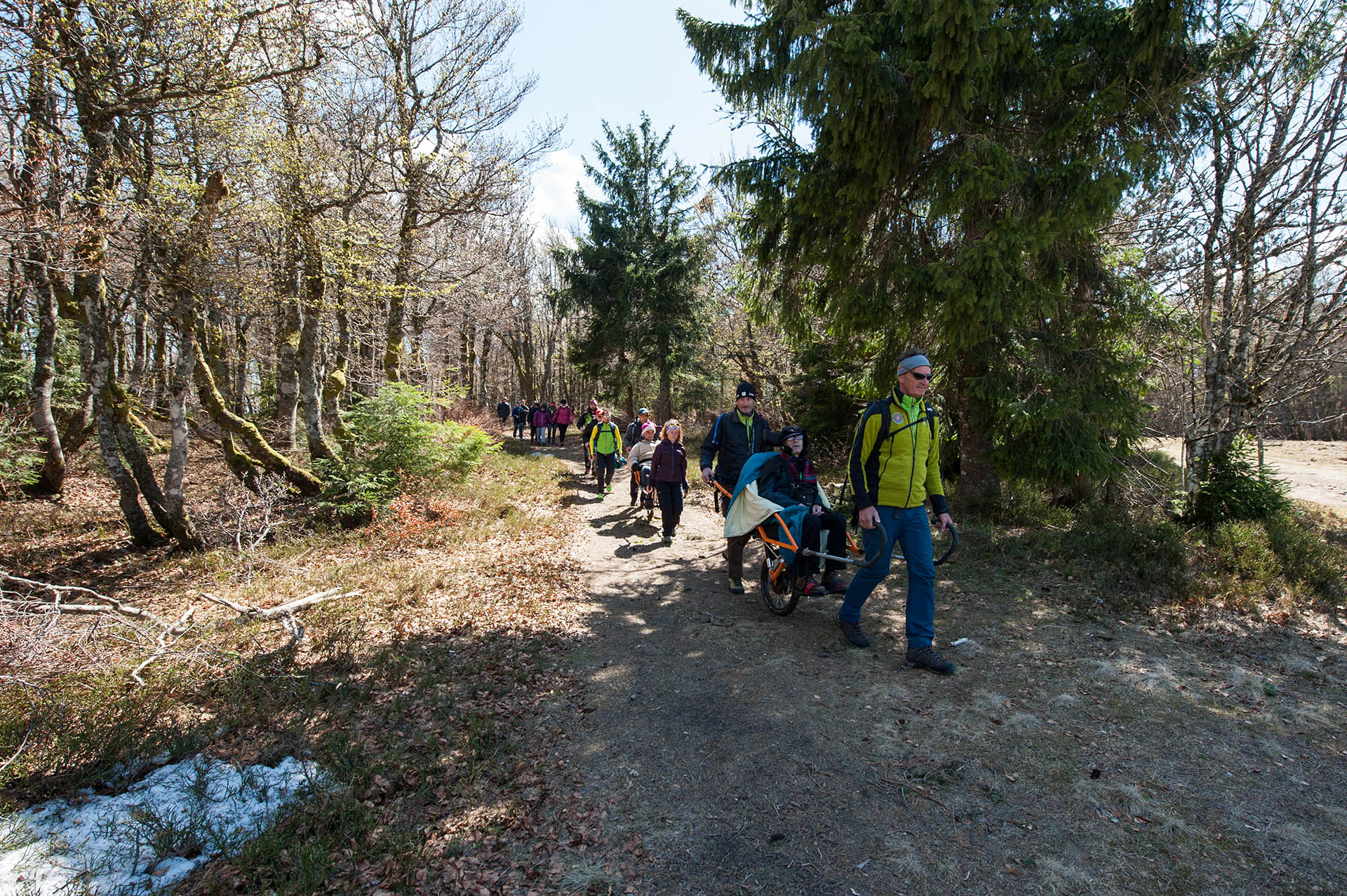 Randonnée joëlette dans le Massif des Vosges pour que les personnes à mobilité réduite puissent