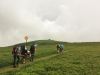 Balade en joëlette, à la découverte des hautes Vosges !