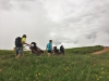 Balade en joëlette, à la découverte des hautes Vosges !