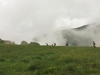 Balade en joëlette, à la découverte des hautes Vosges !