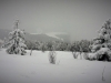 Balade et randonnée en raquettes à neige dans les Vosges avec le Refuge du Sotré !