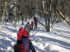 Balade et randonnée en raquettes à neige dans les Vosges avec le Refuge du Sotré !