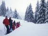 Balade et randonnée en raquettes à neige dans les Vosges avec le Refuge du Sotré !
